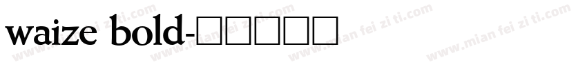 waize bold字体转换